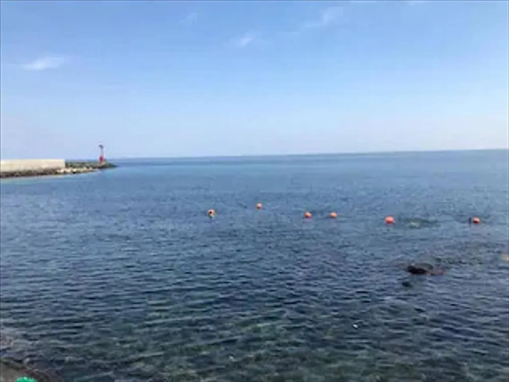 Jeju Aewol Pension On The Sea